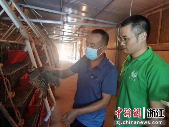 朱波(右一)指导鹧鸪养殖 威客电竞供图